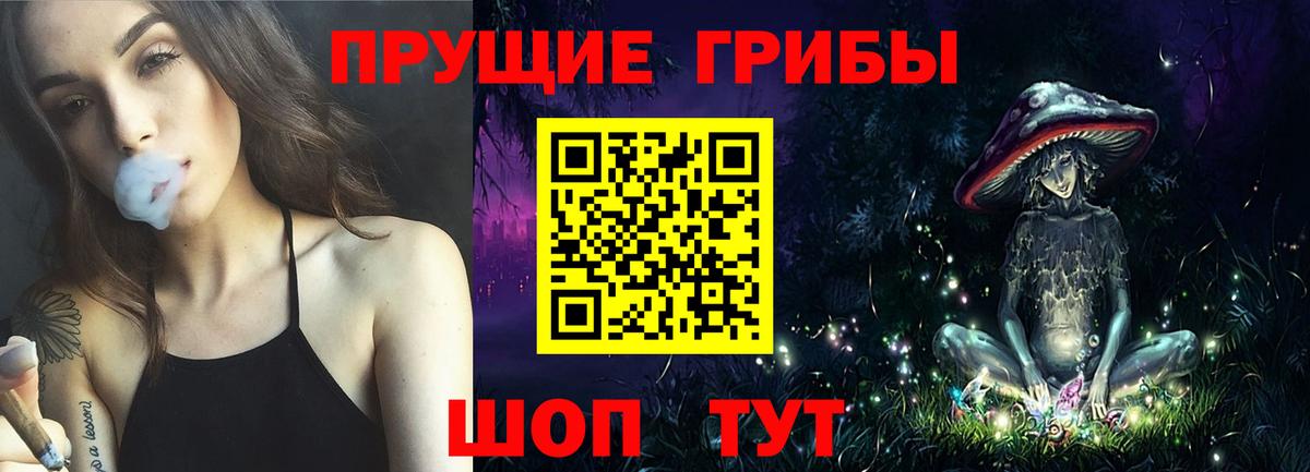 Псилоцибиновые грибы мицелий  Галлюциногенные грибы прущие грибы  Вход с VPN  Сосновый Бор 