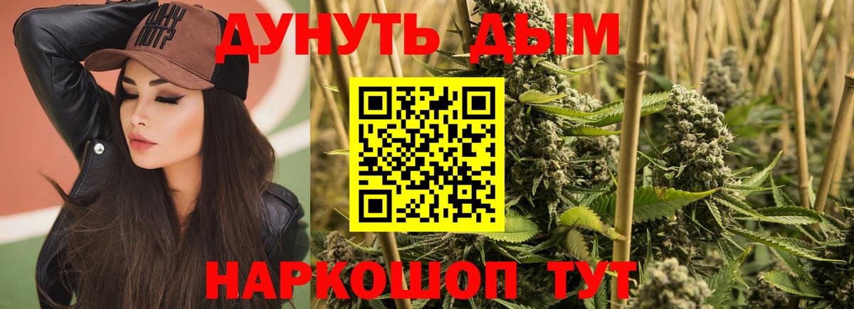 Бошки Шишки Сосновый Бор