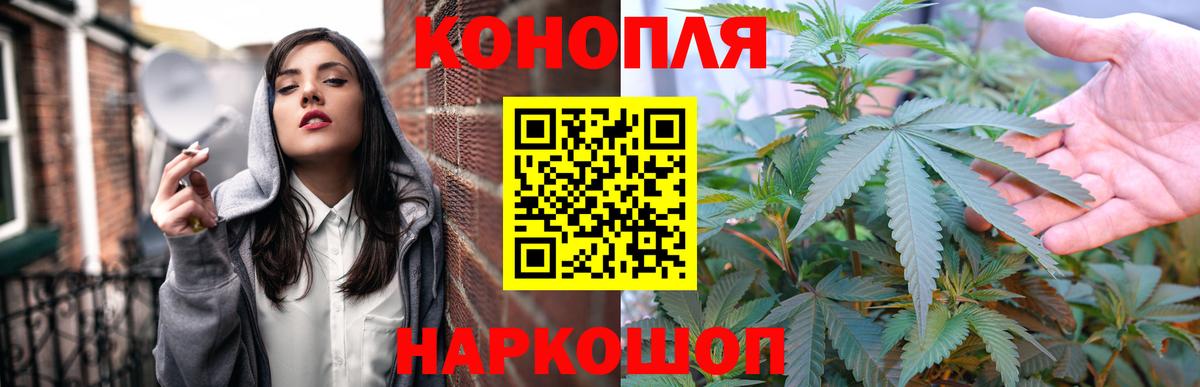 Бошки марихуана план Сосновый Бор